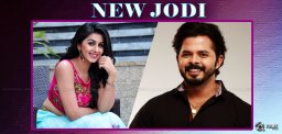 nikki-galrani-to-romance-sreeshanth-in-team-5