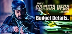 psvgarudavega-movie-budget-rajasekhar