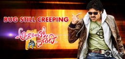 Piracy-still-haunting-Attarintiki-Daredi