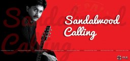raghu-kunche-doing-music-fo-kannada-films