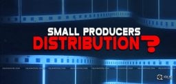 small-producers-become-big-distributors-news
