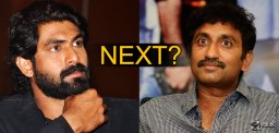 speculations-on-srinu-vaitla-next-movie-with-rana