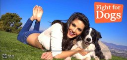 sunny-leone-fight-for-street-dogs-with-peta