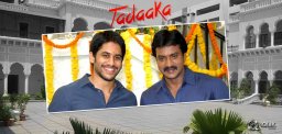 Tadaaka-climax-shoot-in-progress