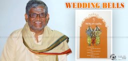 actor-tanikella-bharani-daughter-wedding