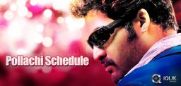 The-new-schedule-of-NTR-Srinivas039-s-film-from