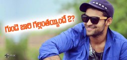 varuntej-in-gundejaarigallanthayinde2-details