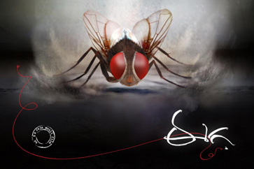 Eega