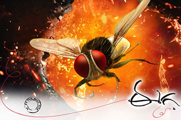 Eega