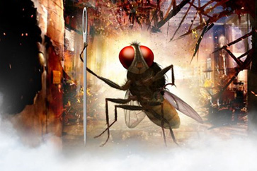 Eega
