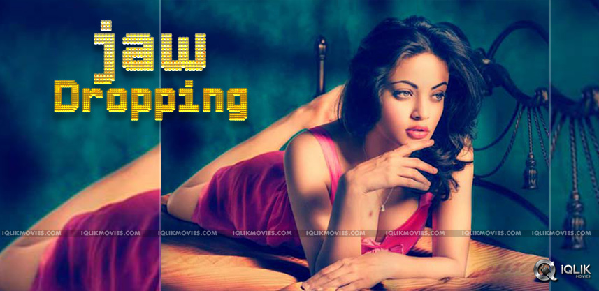 hot-photo-shoot-of-actress-sneha-ullal